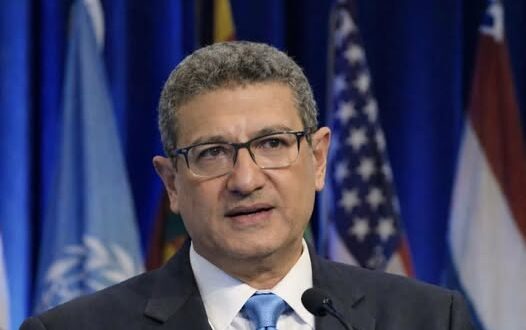 المركز العربي الأوروبي يختار أحمد النجار خبير التطوير المؤسسي، سفيرًا للسلام والنوايا الحسنة